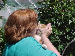 Renee smooching Tom (greenhouse kitty)