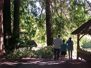 Down the wooded path