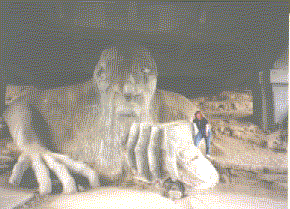 Micki and Troll
