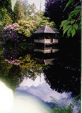 Japanese Reflecting Pool
