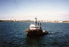 tugboat outside Victoria Harbor
