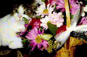 Tally wif bouquet