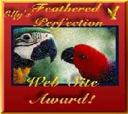 Feathered Perfection Award
