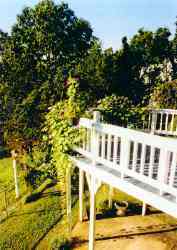Ninas porch