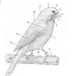 Parts