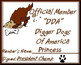 Princess certificate