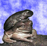 the frogs