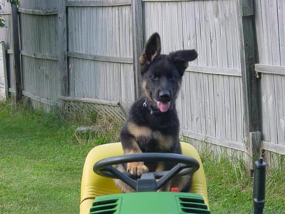 Kely & John Deere