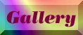 Photo Gallery