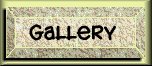 Photo Gallery