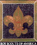 Link to BSA National Site
