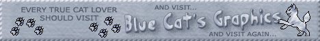 Blue Cats Graphics