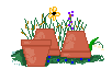 pots