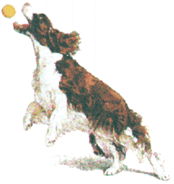 ESS with ball