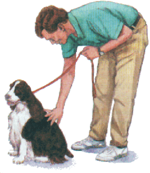 ESS on lead