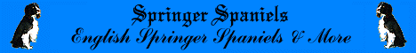 bluebanner