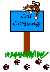cat crossing