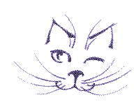 PlayCat