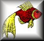 Fan Tail Goldfish