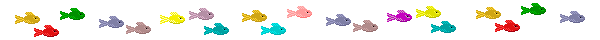 fish swimming
