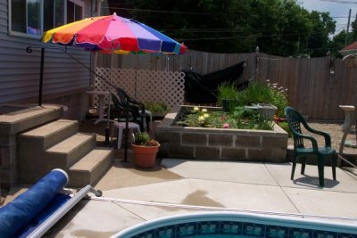 Pond From The Side