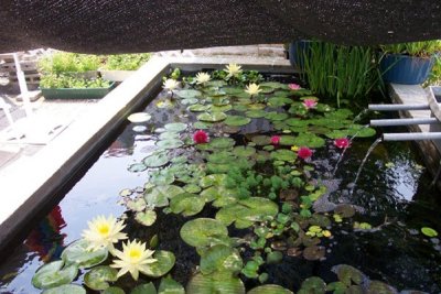Pond With Shade Cloth On