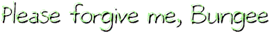 please forgive me, bungee