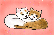 cat kisses