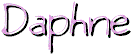 daphne