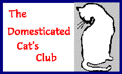 domesticated cat club