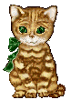 kitty