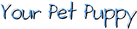 your pet puppy