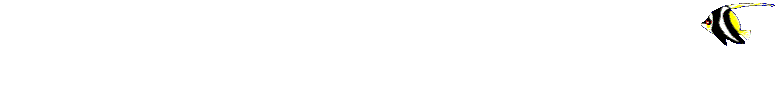 Animated Cartoon Fish