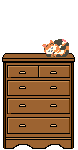 Drawer Full of Cat