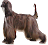 Remember Sheba