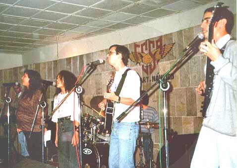 Grao de Mostarda