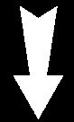 ARROWDWN.TIF (266 bytes)