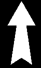 ARROWUP.TIF (267 bytes)
