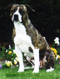 Xena