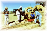 dinosaurs and fossils