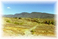 el campo