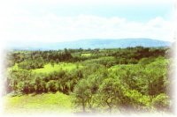 more of the farm