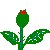 [rose]