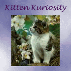 Join the Kitten Kuriosity
Webring!