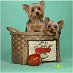 apple basket 