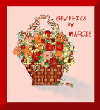 My Logo