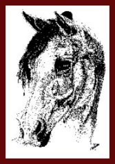 Pen and Ink Horse