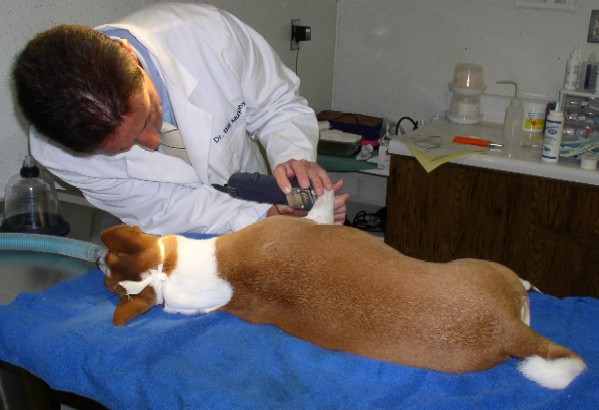Preparing for IV catheter