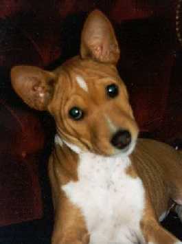 Jubal's sweet face