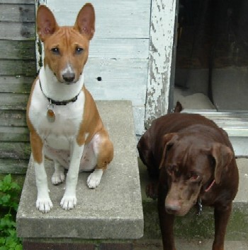 Boingo LeVan, age 8 months, sits with sister Beanie